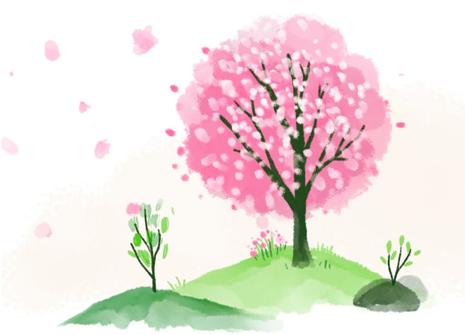 spring illustration
